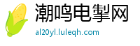 潮鸣电掣网